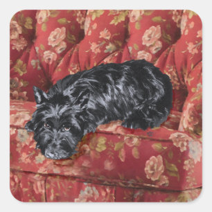 Sticker Carré Scottie in Big Red Chaise