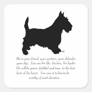 Sticker Carré Scottish Terrier Keepsaké - chien mâle