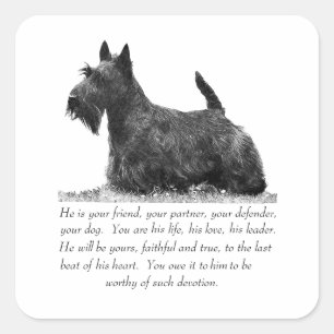 Sticker Carré Scottish Terrier Keepsaké - chien mâle