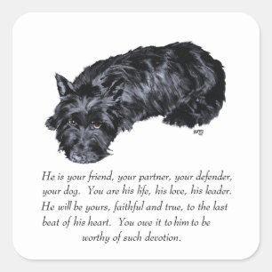 Sticker Carré Scottish Terrier Keepsakes - MALE