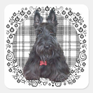 Sticker Carré Scottish terrier on tartan