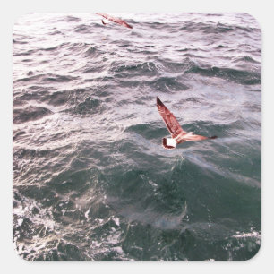 STICKER CARRÉ SEAGULL VOLANT AU-DESSUS DES VAGUES MARITIMES