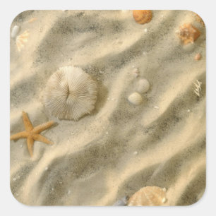 Sticker Carré Seashells