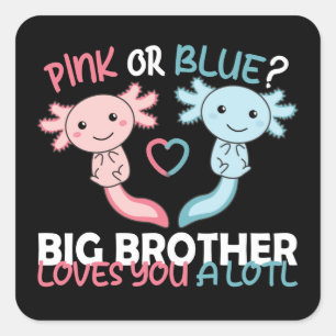 Sticker Carré sexe révèle rose ou bleu frère aime vous lotl