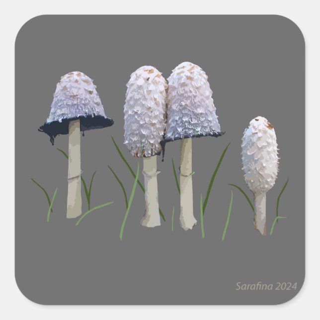 Sticker Carré Shaggy Mane Coprinus comatus (Devant)