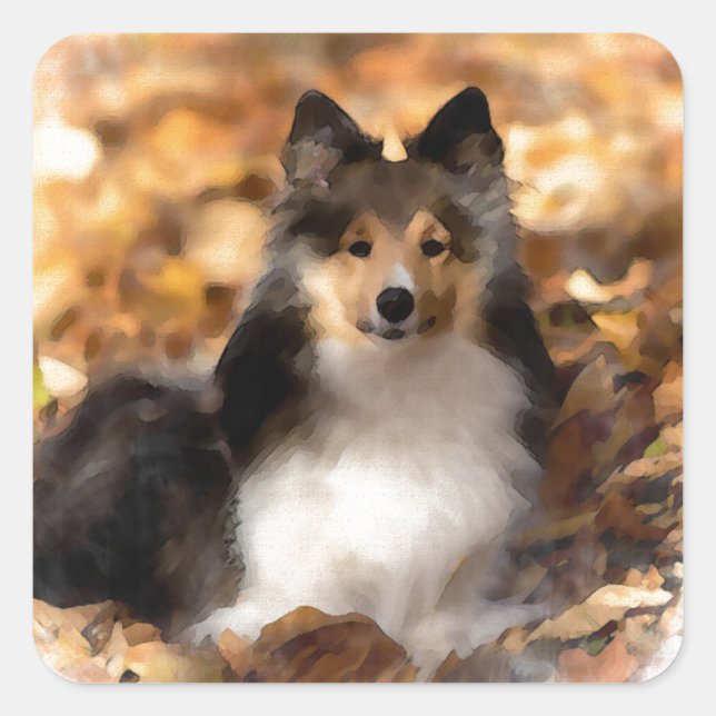 Sticker Carré Sheltie Shetland Sheepdog Art Peinture (Devant)