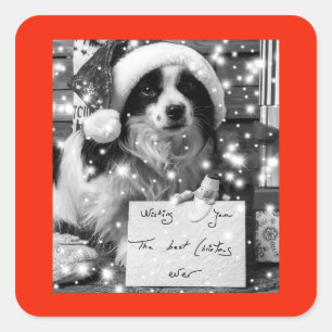 Sticker CARRÉ SHEPARD AUSTRALIEN