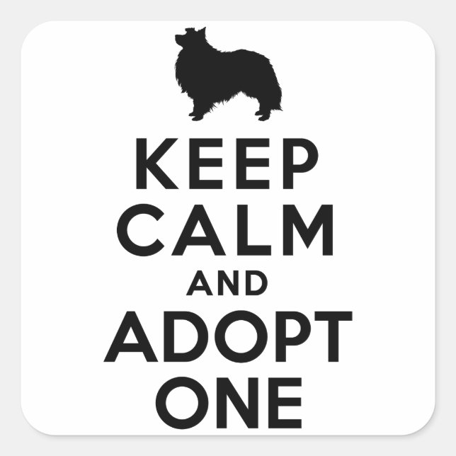 Sticker Carré Shetland Sheepdog (Devant)