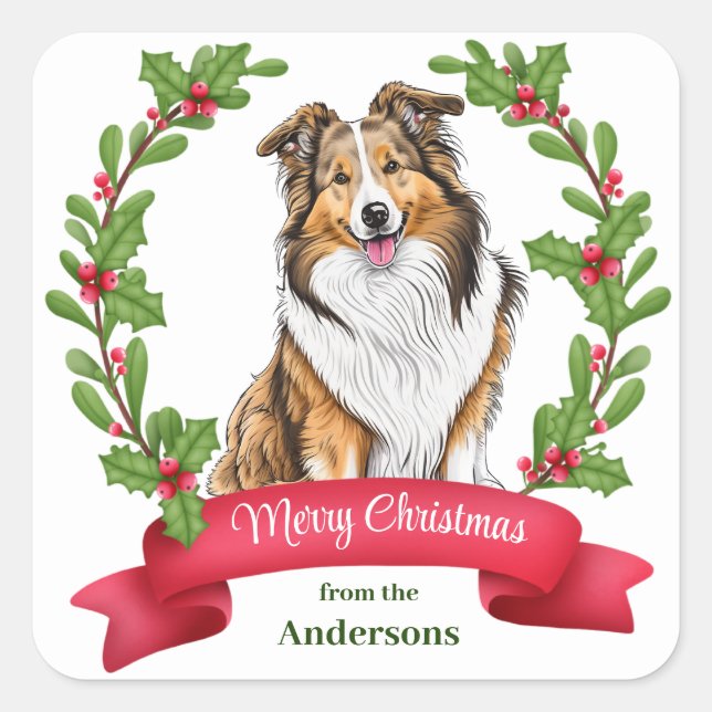 Sticker Carré Shetland Sheepdog Holly Banner Noël (Devant)