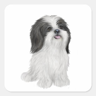 Sticker Carré Shih Tzu - noir et blanc (par JF)