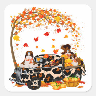Sticker Carré Shih Tzu Riding Leopard Truck Citrouille Thanksgiv