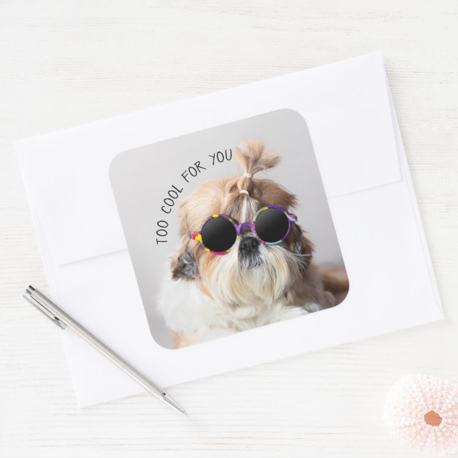 Sticker Carré Shih Tzu Too Cool pour vous Lunettes de soleil Pho (Enveloppe)