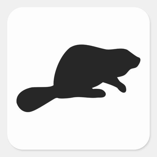 Sticker Carré Silhouette beaver (Devant)