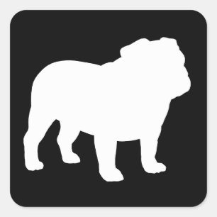 Sticker Carré Silhouette de Bouledogue Anglais Blanc