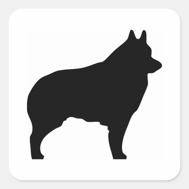Sticker Carré Silhouette de chien de Schipperke (Devant)