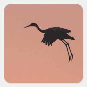 Sticker Carré Silhouette de Sandhill sur ciel rose couché de so