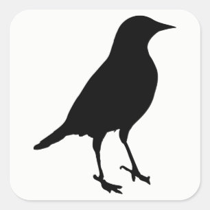 Sticker Carré Silhouette des oiseaux
