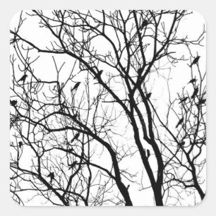 Sticker Carré Silhouette d'oiseaux par Therese Kramer
