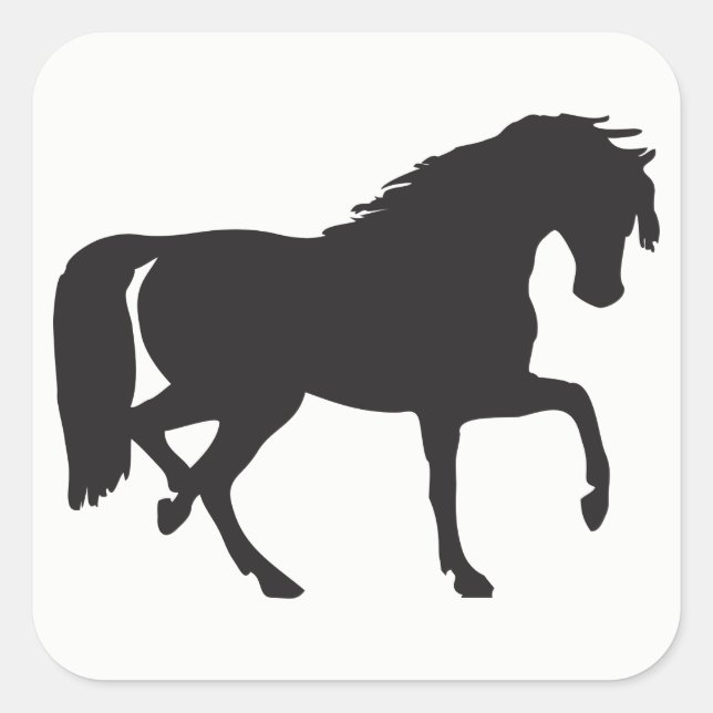 Sticker Carré Silhouette du cheval (Devant)