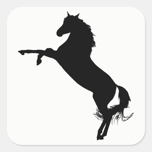 Sticker Carré Silhouette du cheval arabe (Devant)