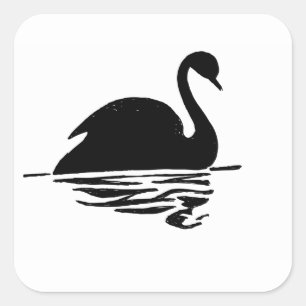 Sticker Carré Silhouette du cygne noir