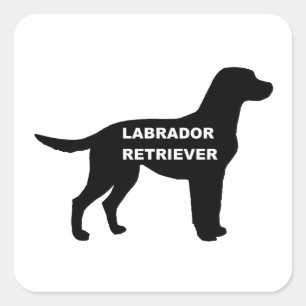 Sticker Carré silhouette du nom du labrador