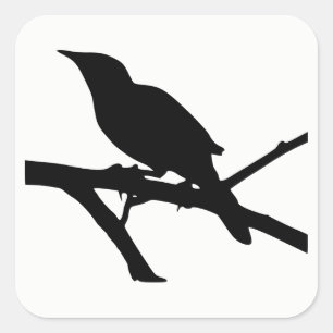 Sticker Carré Silhouette Mockingbird