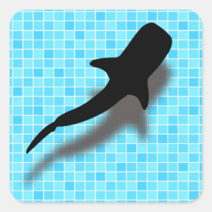 Sticker Carré Silhouette requin baleine dans la piscine