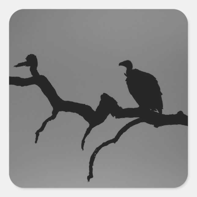 Sticker Carré Silhouette vautour (Devant)