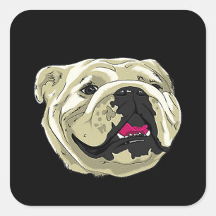 Sticker Carré Silly Happy English Bulldog Premium cadeau