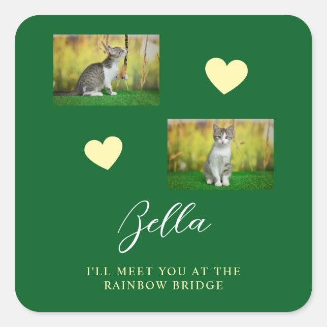 Sticker Carré Simple Rainbow Bridge Cat Memorial (Devant)