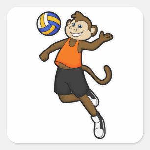 Sticker Carré Singe comme joueur de volleyball avec volleyball
