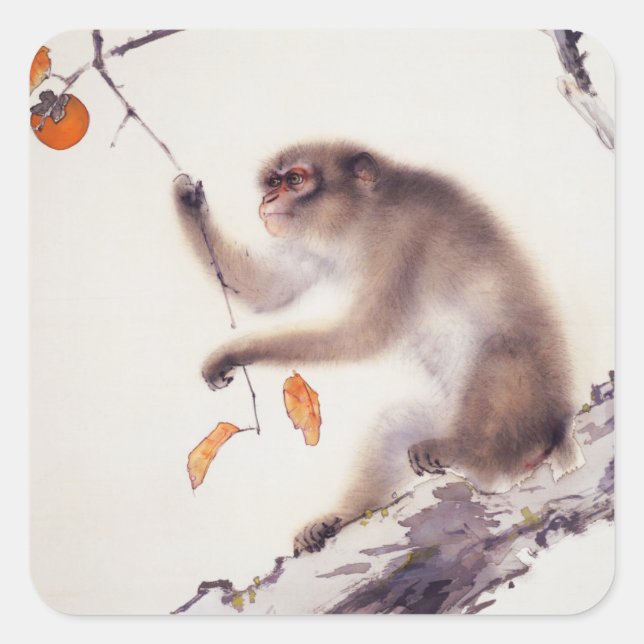 Sticker Carré Singe dans un arbre persimmon (Devant)