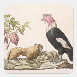 Sticker Carré Singe et condor de lion, indigènes au Chili ou en