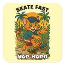 Skateboard cat