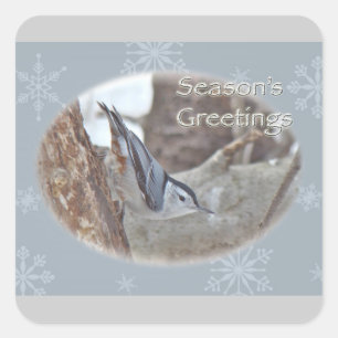 Sticker Carré Slate Grey Nuthatch Songbird Joyeuses Fêtes