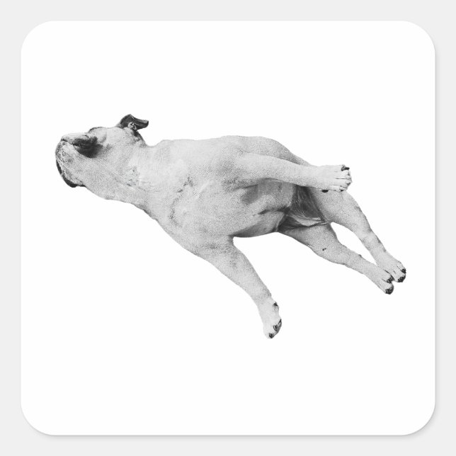 Sticker Carré Sleeper Cutout, Noel Edition (Devant)