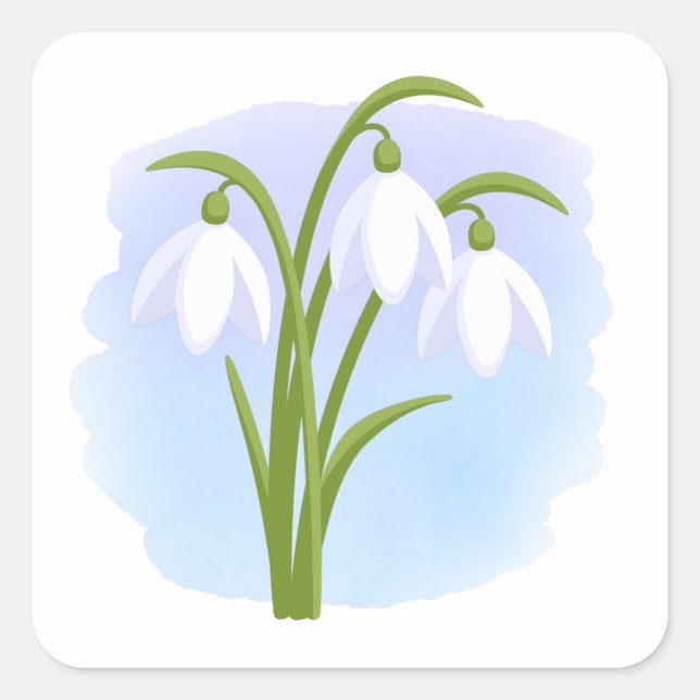 Sticker Carré Snowdrops - Fleurs de printemps sur aquarelle bleu (Devant)