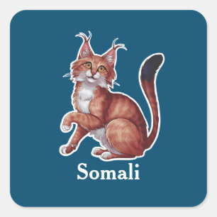 Sticker Carré somalien