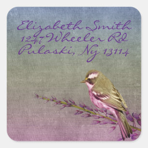 Sticker Carré Songbird