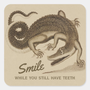 Sticker Carré Souriez pendant que vous avez encore des dents CC0