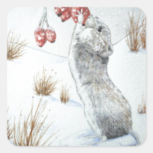 Sticker Carré Souris mignonne et baies rouges scène de neige