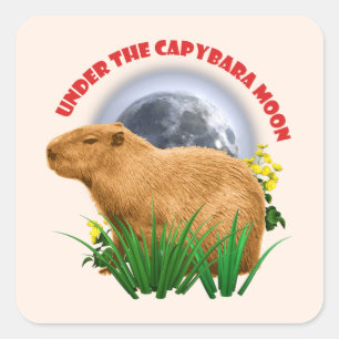 Sticker Carré Sous la Lune du Capybara Drôle Capybara 