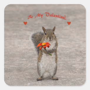 Sticker Carré Soyez mon Valentine d'écureuil mignon