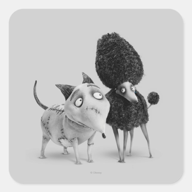 Sticker Carré Sparky et Perséphone (Devant)