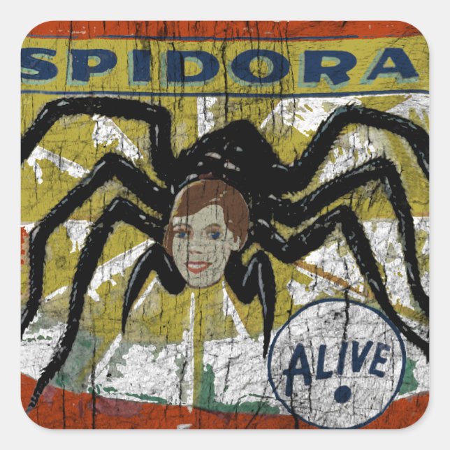 Sticker Carré Spidora (Devant)