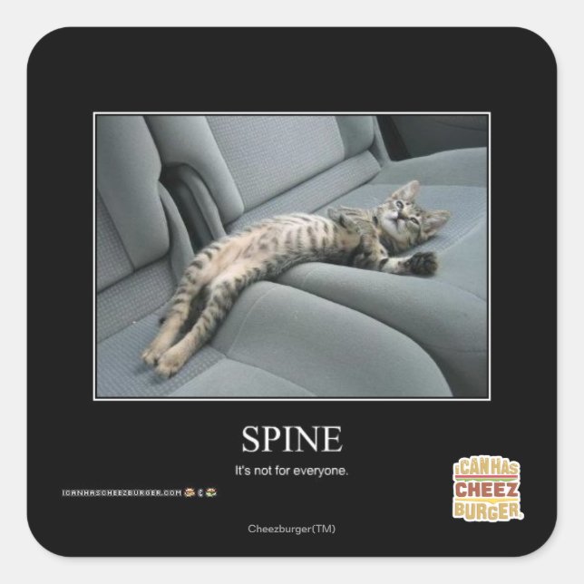 Sticker Carré Spine (Devant)