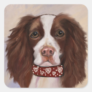 STICKER CARRÉ SPRINGER SPANIEL ANGLAIS