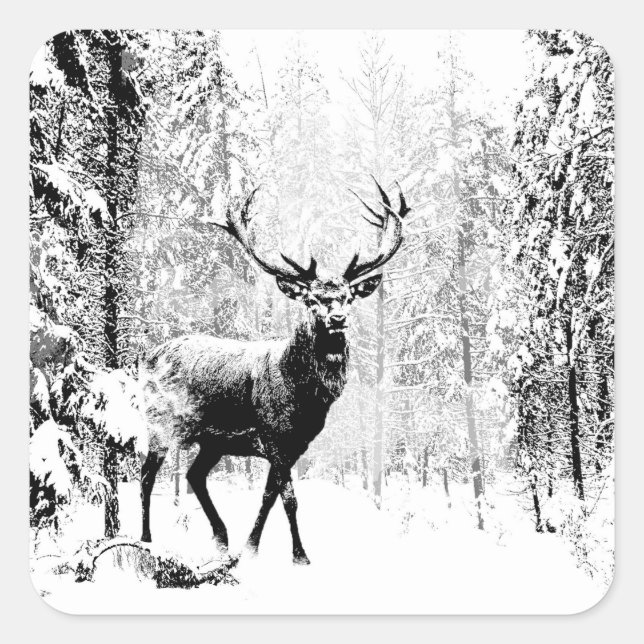 Sticker Carré Stade Deer Forêt d'hiver Faune Animal Nature Art (Devant)