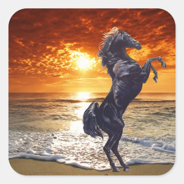 Sticker Carré Stallion noir (Devant)